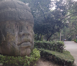 Cabeza Olmeca photo