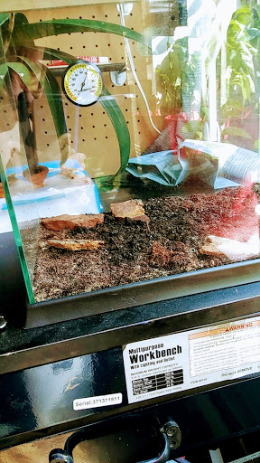 Tropical Fish Store «Harris In Wonderland», reviews and photos, 12 W Main St, Avon, CT 06001, USA