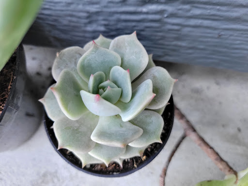 Home Improvement Store «The Home Depot», reviews and photos, 1625 Sycamore Ave, Hercules, CA 94547, USA