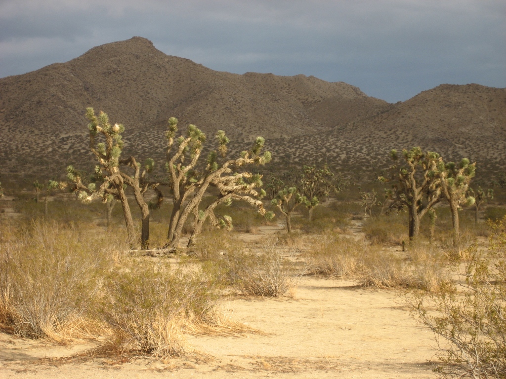 Saddleback Butte State Park