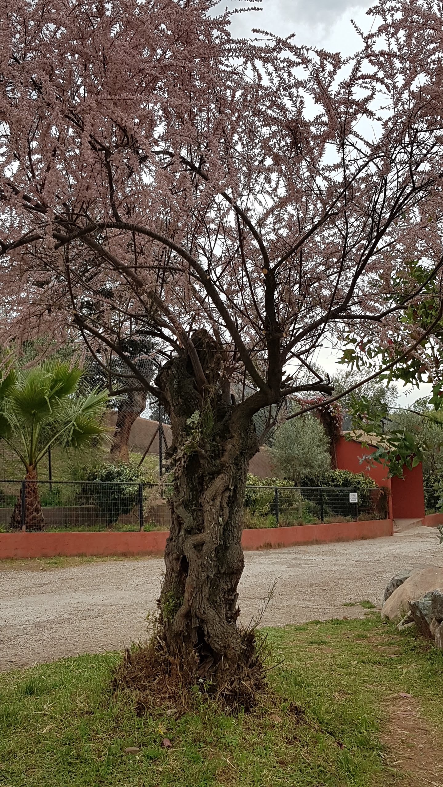 Photo n° 25 de l'avis de Isabelle.e fait le 16/04/2019 à 22:21