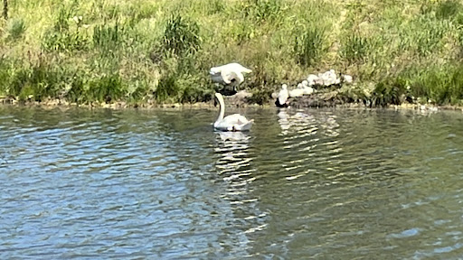 Golf Course «The Glen Club», reviews and photos, 2901 W Lake Ave, Glenview, IL 60026, USA