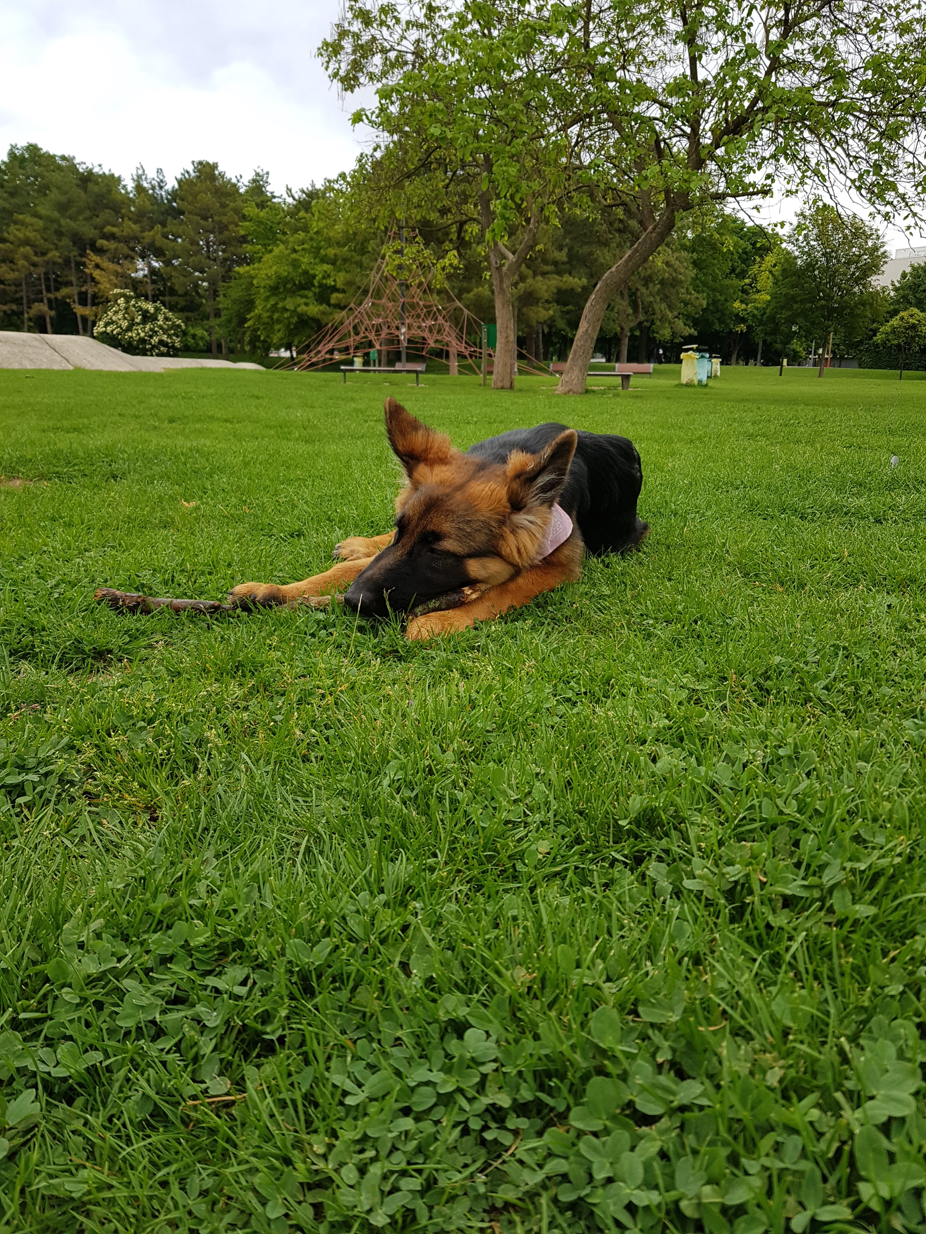 Photo n° 1 de l'avis de Grégory. fait le 27/05/2019 à 10:27