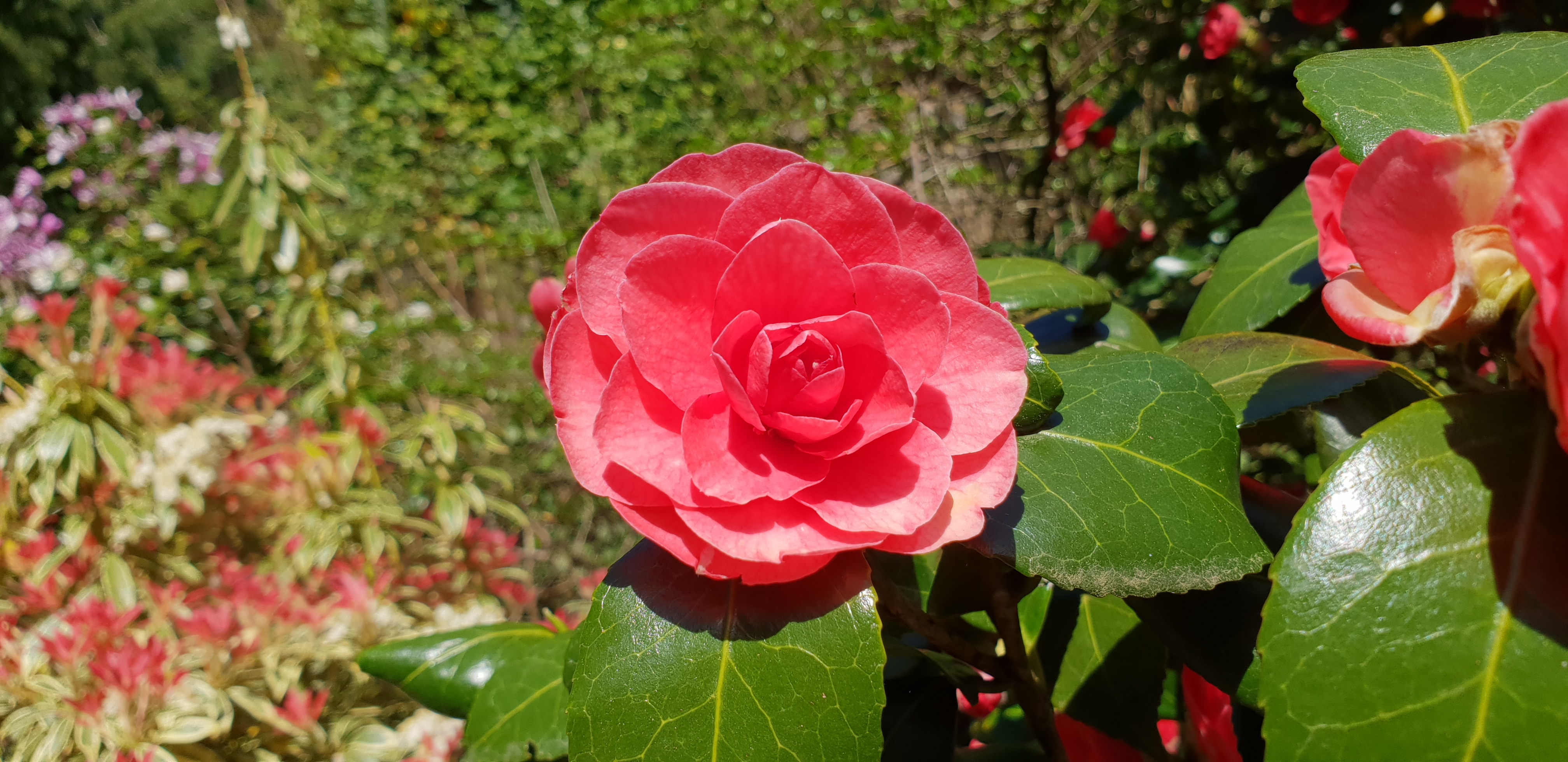 Photo n° 8 de l'avis de Dominique.A fait le 18/04/2018 à 14:35