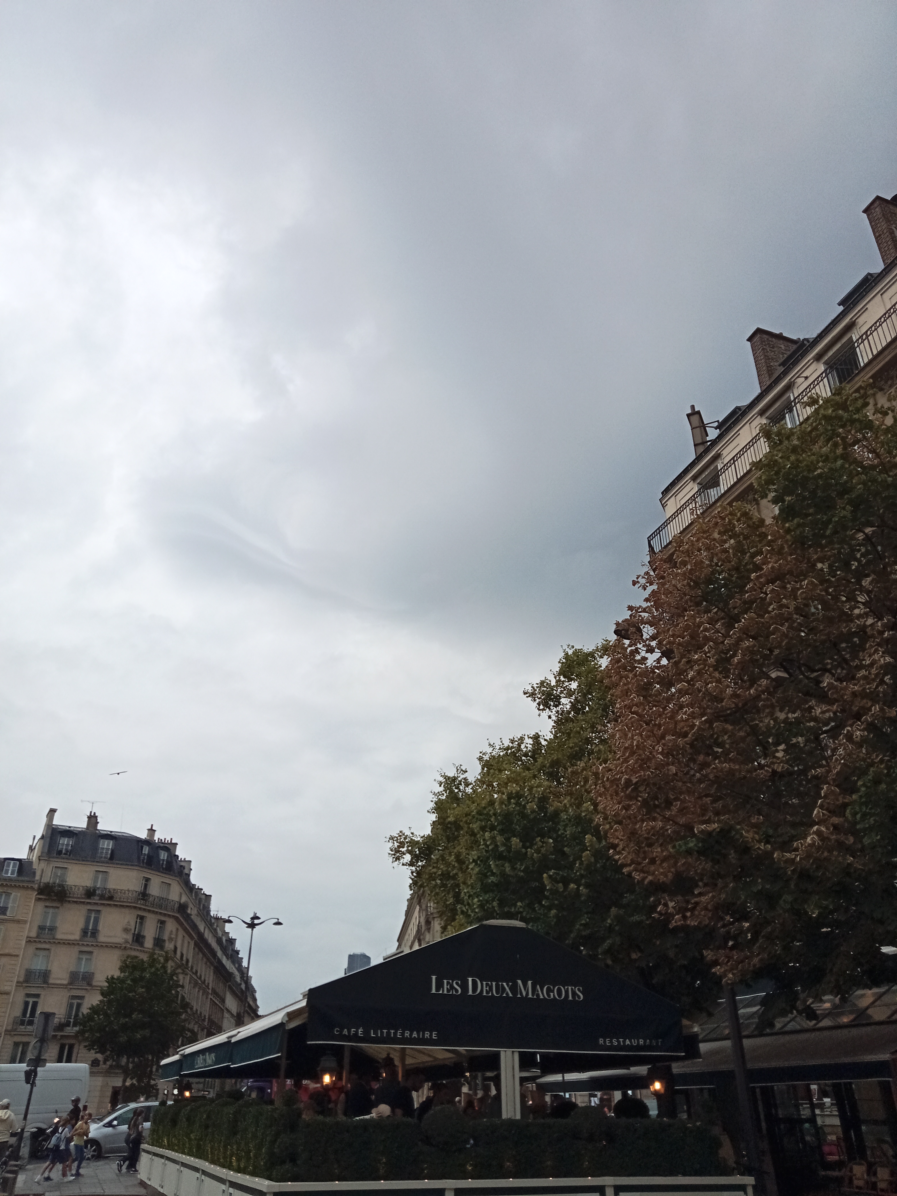 Photo n° 3 de l'avis de Borel.o fait le 12/09/2023 à 18:22