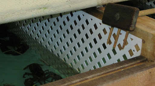 Seafood Market «The Fish Market», reviews and photos, 1307 W Main St, Willimantic, CT 06226, USA