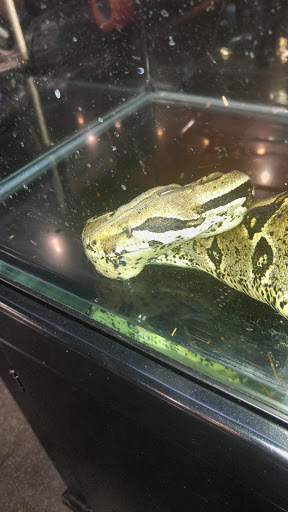 Harley-Davidson Dealer «Buddy Stubbs Anthem Harley-Davidson», reviews and photos, 41715 N 41st Dr, Anthem, AZ 85086, USA