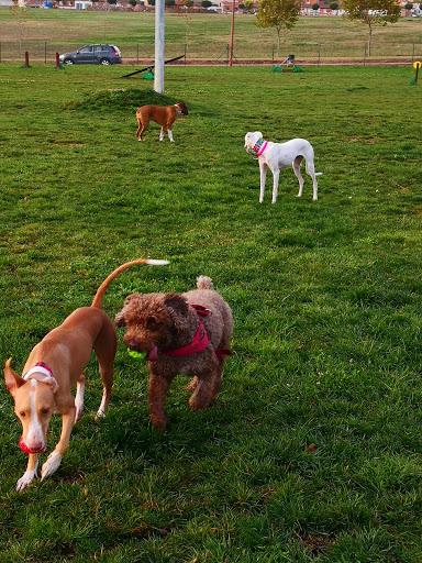 Parque de calistenia Zaratán en Zaratán, Valladolid