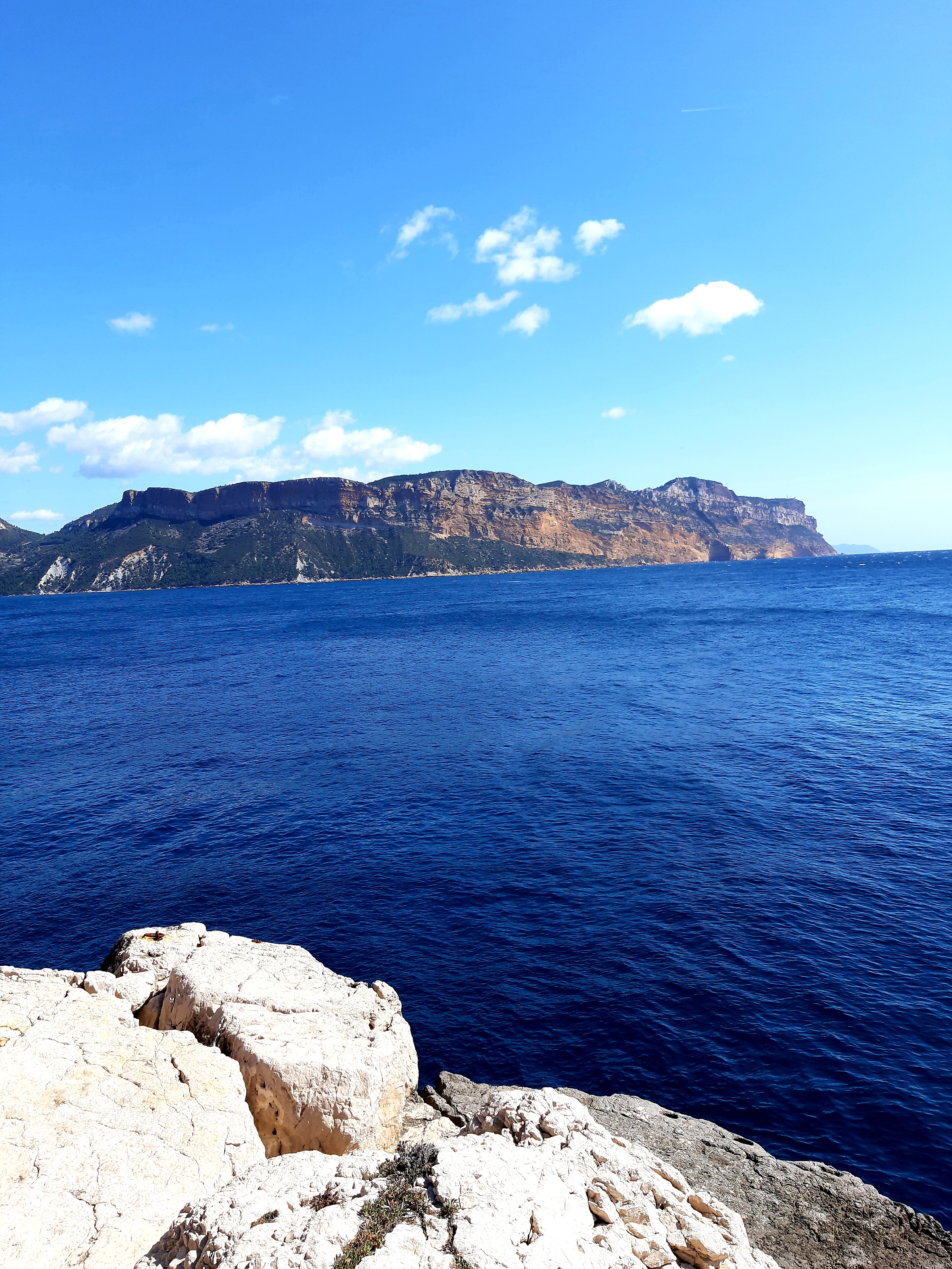 Photo n° 25 de l'avis de Islas.a fait le 27/03/2021 à 17:41