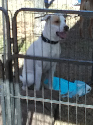 City Park «Steele Indian School Park», reviews and photos, 300 E Indian School Rd, Phoenix, AZ 85012, USA