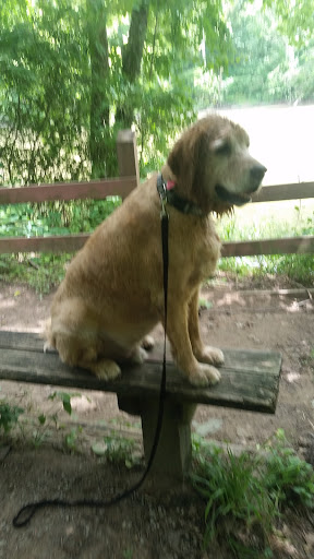 Nature Preserve «Kelley Nature Preserve», reviews and photos, 297 OH-126, Loveland, OH 45140, USA