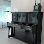 Photo n°6 de l'avis de Rosario.o fait le 19/05/2018 à 04:49 sur le  Osteria Villa Tara à Torlino Vimercati