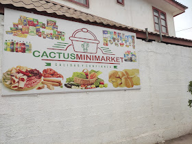 MiniMarket Cactus