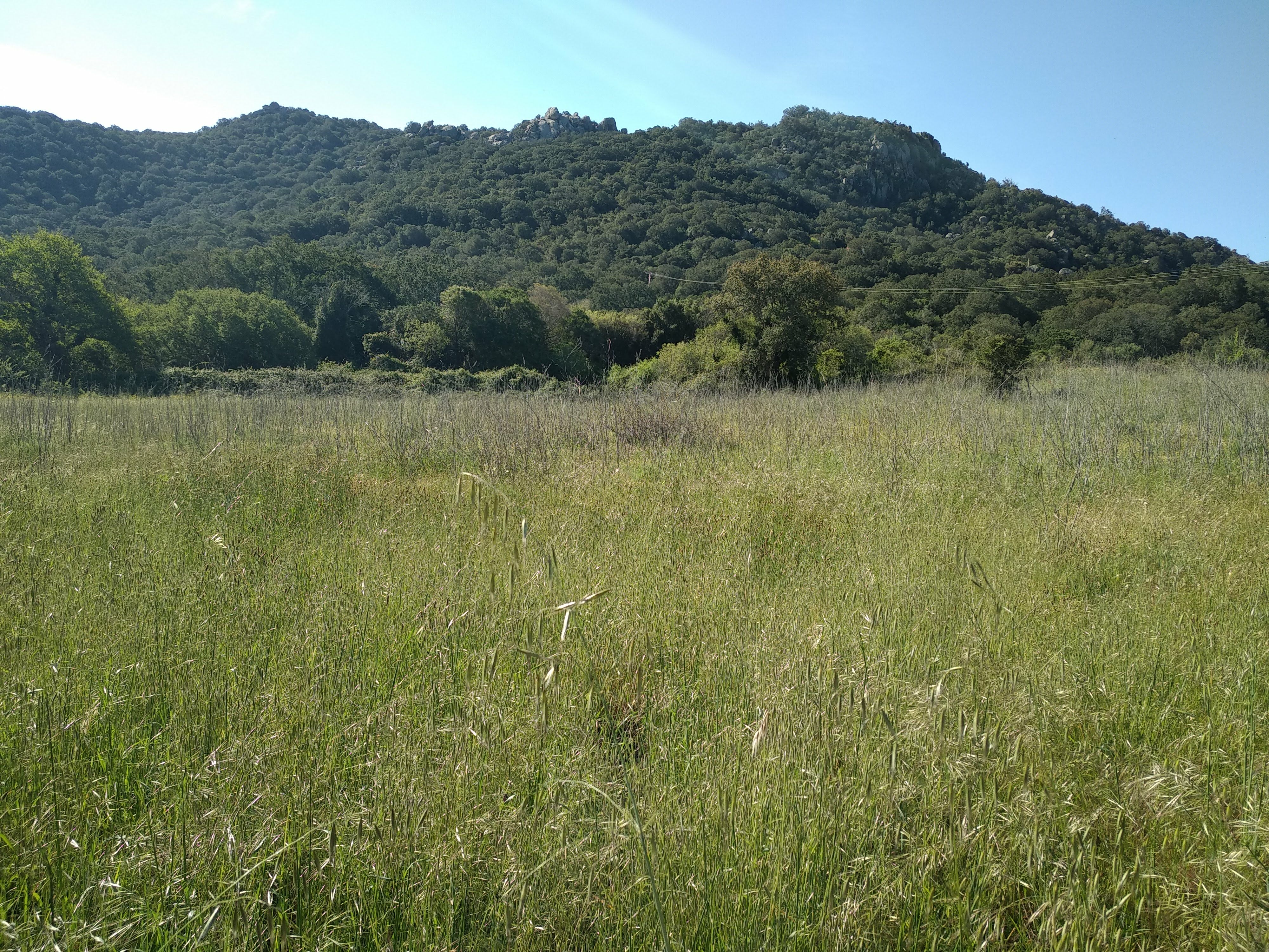 Photo n° 3 de l'avis de Jean-Paul.a fait le 17/06/2019 à 12:17