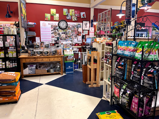 Florist «Petals & Paws», reviews and photos, 465 Albany Turnpike, Canton, CT 06019, USA