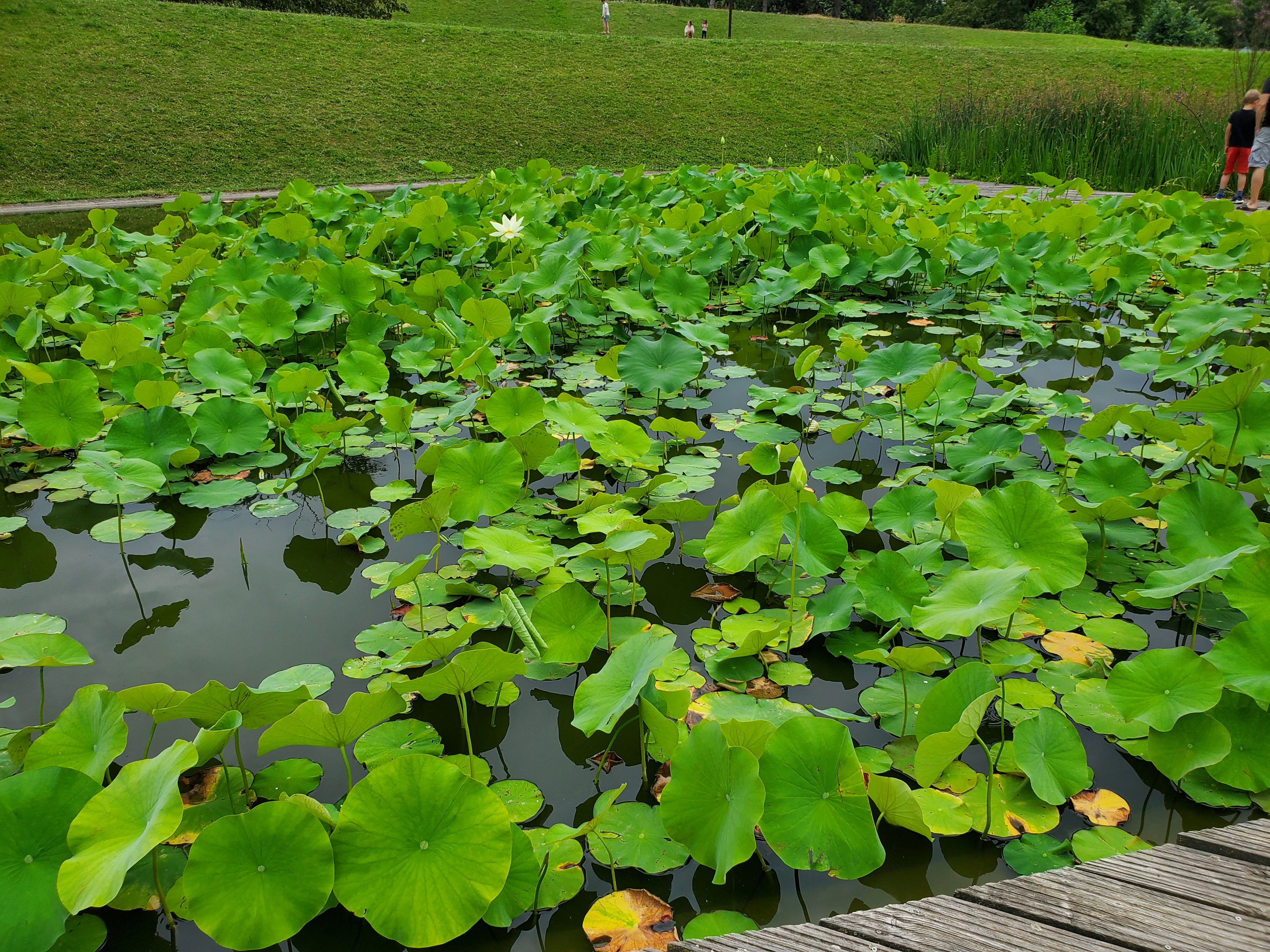 Photo n° 11 de l'avis de Fabienne.a fait le 21/07/2023 à 10:09