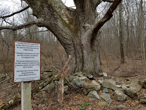 Nature Preserve «Gummere Woods And Marsters Preserve Trail», reviews and photos, 4 Wheeler Rd, North Grafton, MA 01536, USA