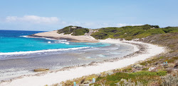 Salmon Beach'in fotoğrafı ve güzel manzarası