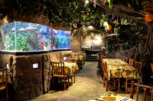 Jungle Cave - Family & Kids Restaurant