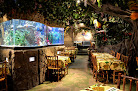 Jungle Cave - Family & Kids Restaurant