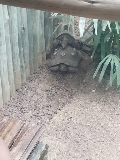 Zoo «Farm In The Zoo», reviews and photos, 1911 N Stockton Dr, Chicago, IL 60614, USA