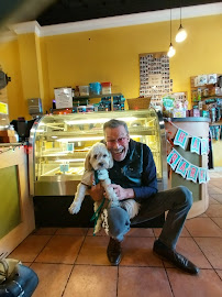 The Dog Bakery - Fresh Baked Treats & Dog Birthday Cakes - Photo 7 - Car repair in Pasadena, CA, Pasadena