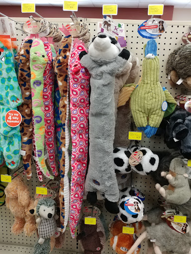 Pet Supply Store «Pet Supermarket», reviews and photos, 2924 13th St, St Cloud, FL 34769, USA