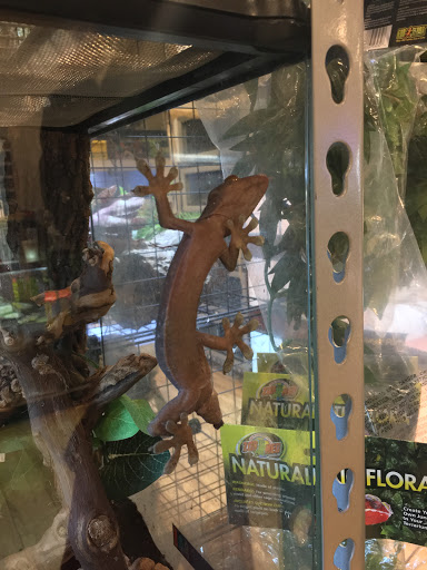 Tropical Fish Store «Harris In Wonderland», reviews and photos, 12 W Main St, Avon, CT 06001, USA