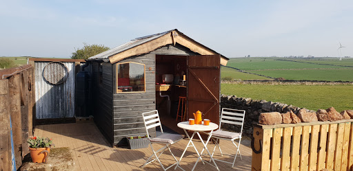 Mount Pleasant Camping and Glamping