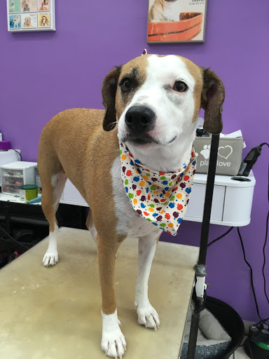 Pet Groomer «Mario`s Pet Grooming & Boutique», reviews and photos, 708 SE 17th St, Fort Lauderdale, FL 33316, USA