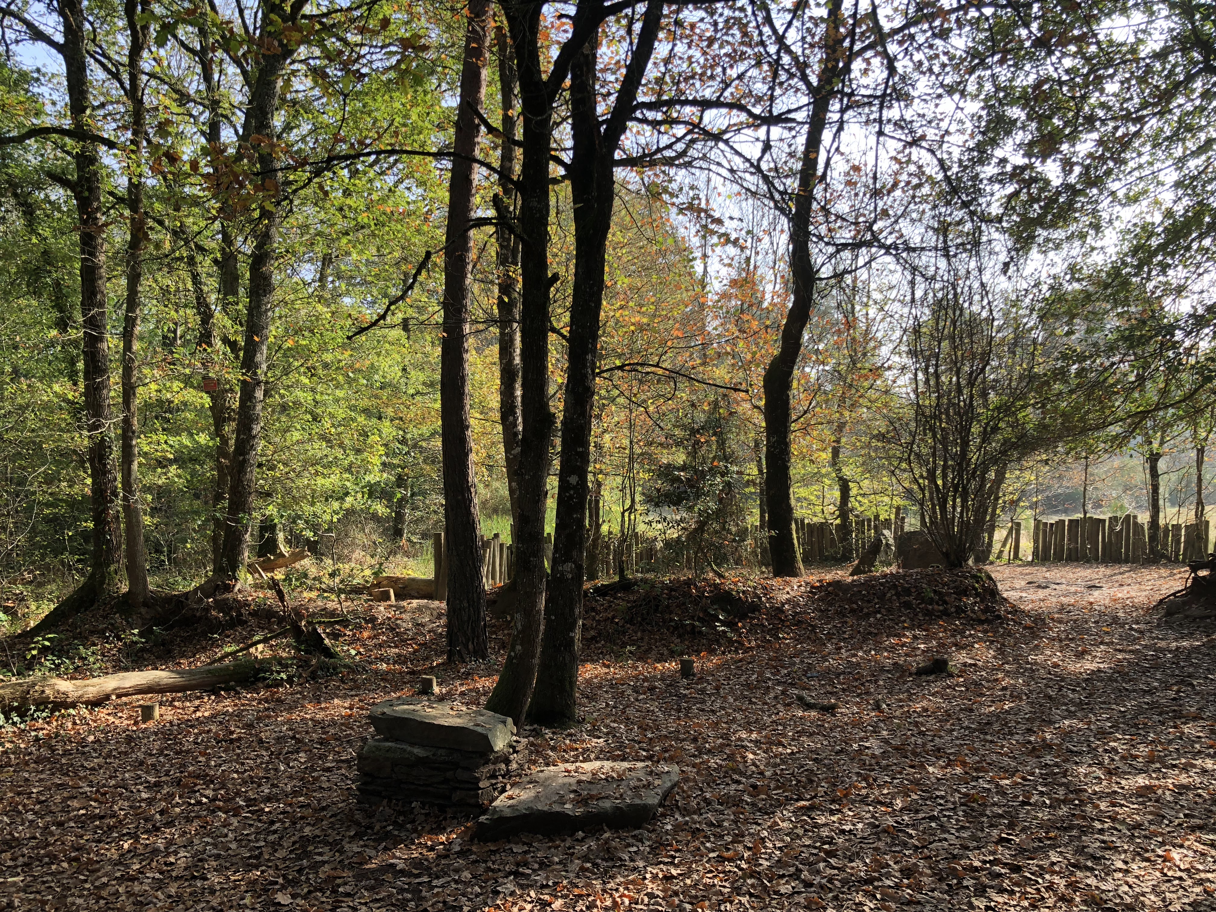 Photo n° 5 de l'avis de Olivier.I fait le 22/10/2018 à 11:46