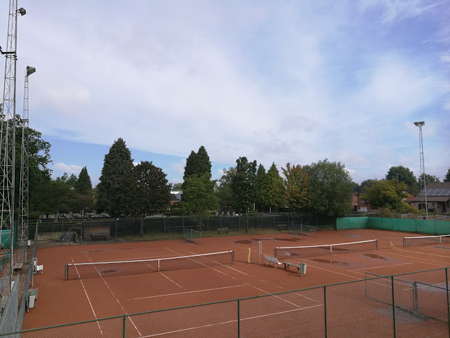 Tennisclub Eversel - Beringen