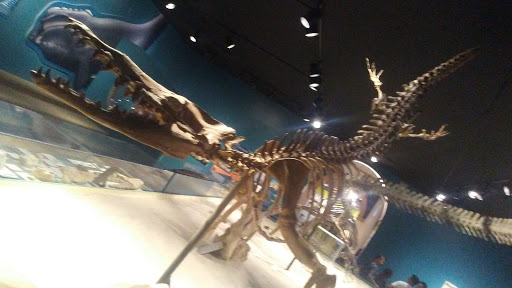 Museum «Museum», reviews and photos, 2142 Southern Dr, Statesboro, GA 30458, USA