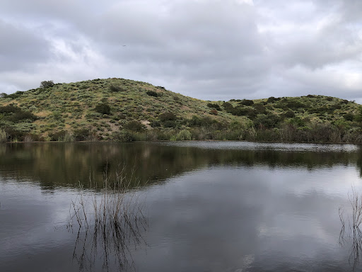 Twin Ponds
