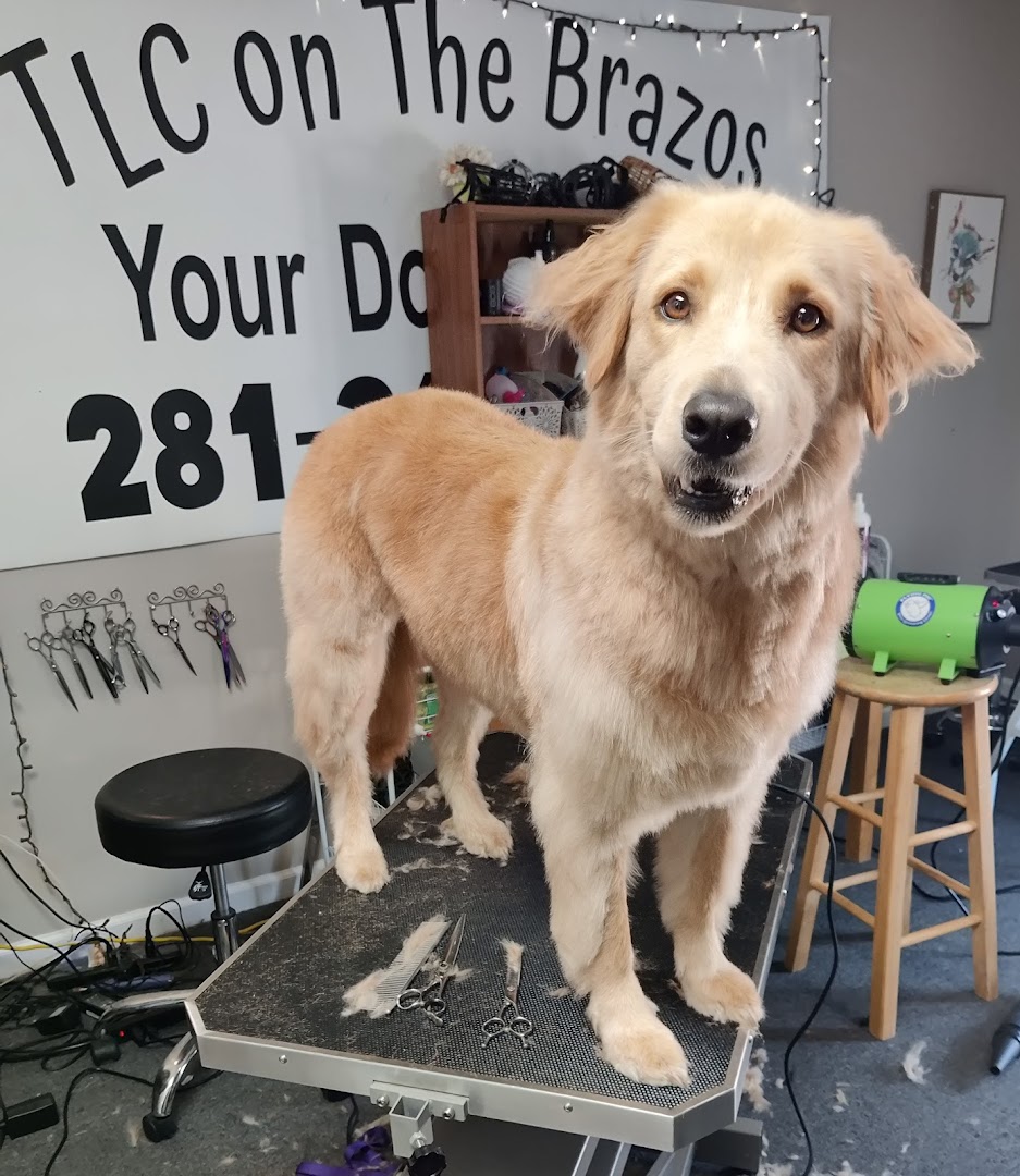 TLC on the Brazos Your Dogs Salon