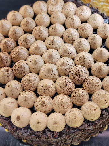 Grocery Store «The Fresh Market», reviews and photos, 3722 Henderson Blvd, Tampa, FL 33609, USA