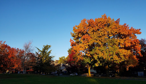 Park «Judkins Park and Playfield», reviews and photos, 2150 S Norman St, Seattle, WA 98144, USA