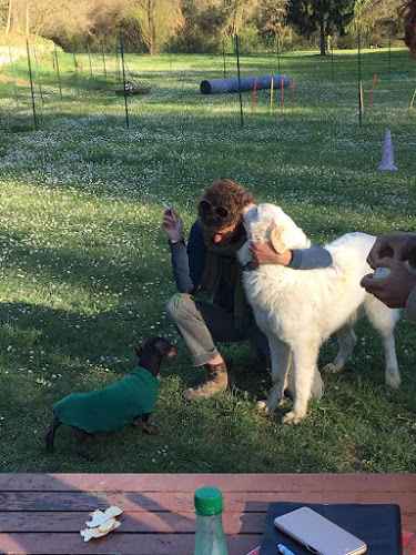 Cercle Canin De L'entre 2 Mers à Tabanac