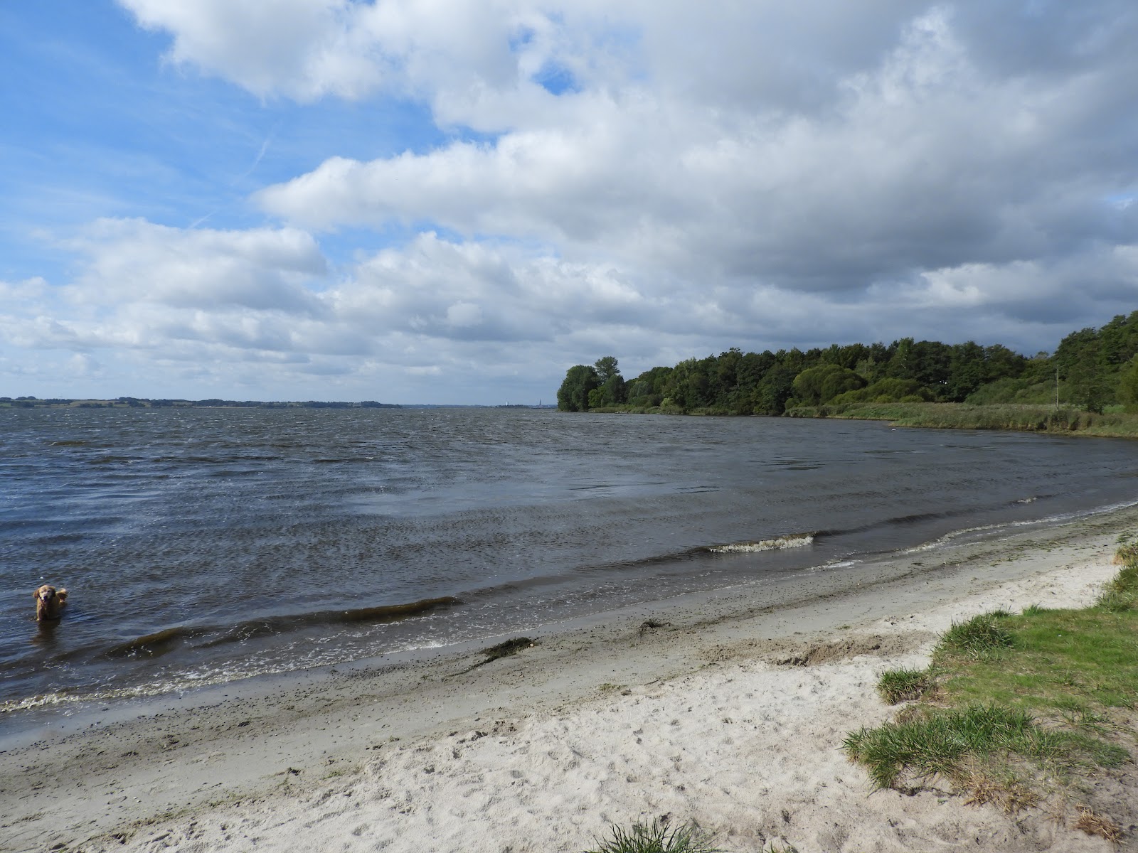 Foto di Hundestrand Klein Westerland con una superficie del erba