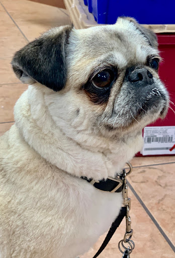 Pharmacy «Broad Street Pharmacy», reviews and photos, 450 W Broad St, Falls Church, VA 22046, USA