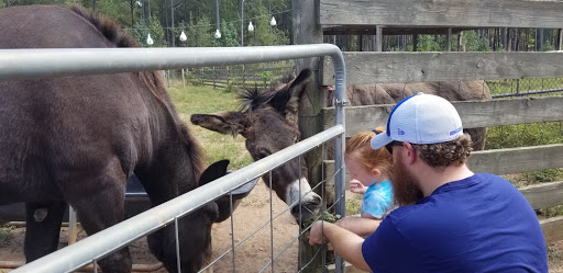 Non-Profit Organization «Dauset Trails Nature Center», reviews and photos, 360 Mt Vernon Church Rd, Jackson, GA 30233, USA