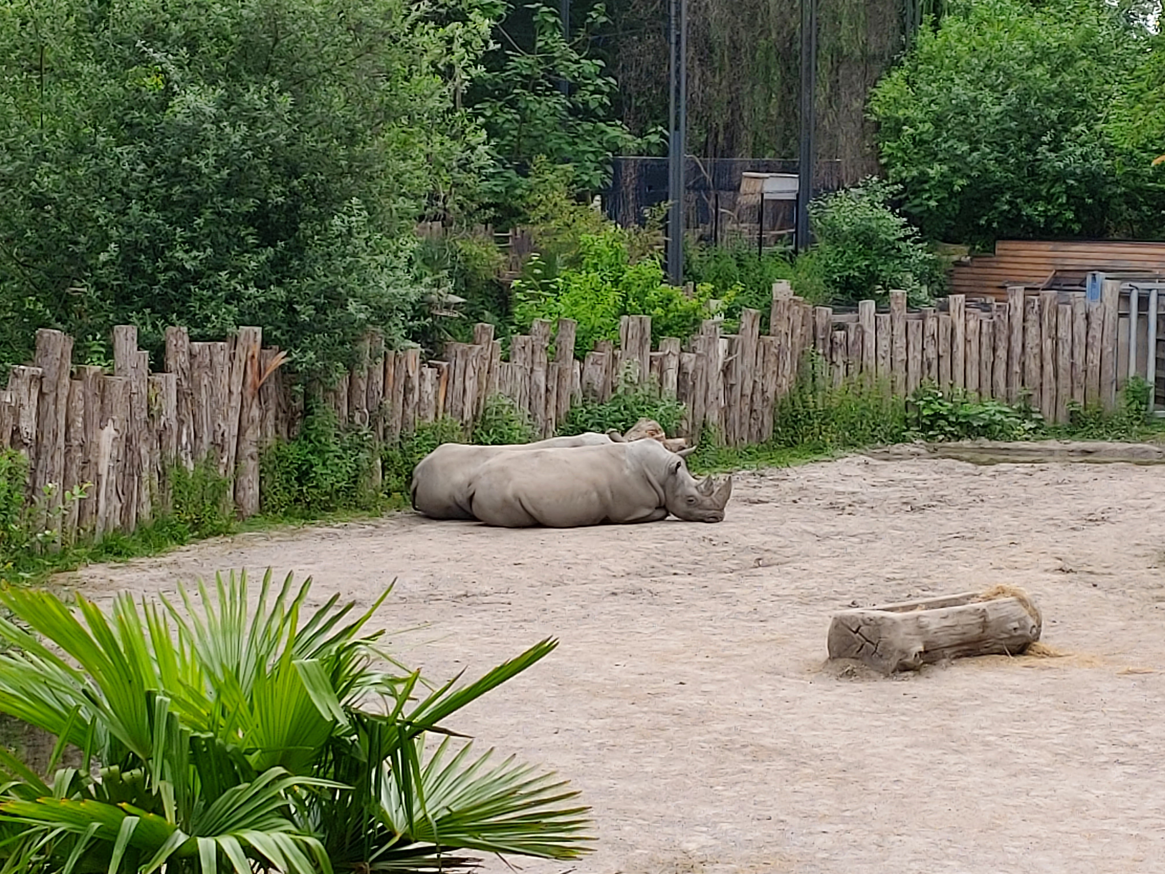 Photo n° 3 de l'avis de DJ.i fait le 12/06/2021 à 15:42