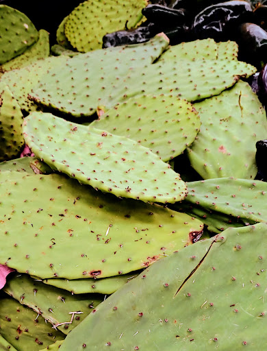 Grocery Store «Food City», reviews and photos, 12321 NW Grand Ave, El Mirage, AZ 85335, USA