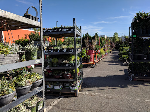 Home Improvement Store «The Home Depot», reviews and photos, 60 Walkers Brook Dr, Reading, MA 01867, USA