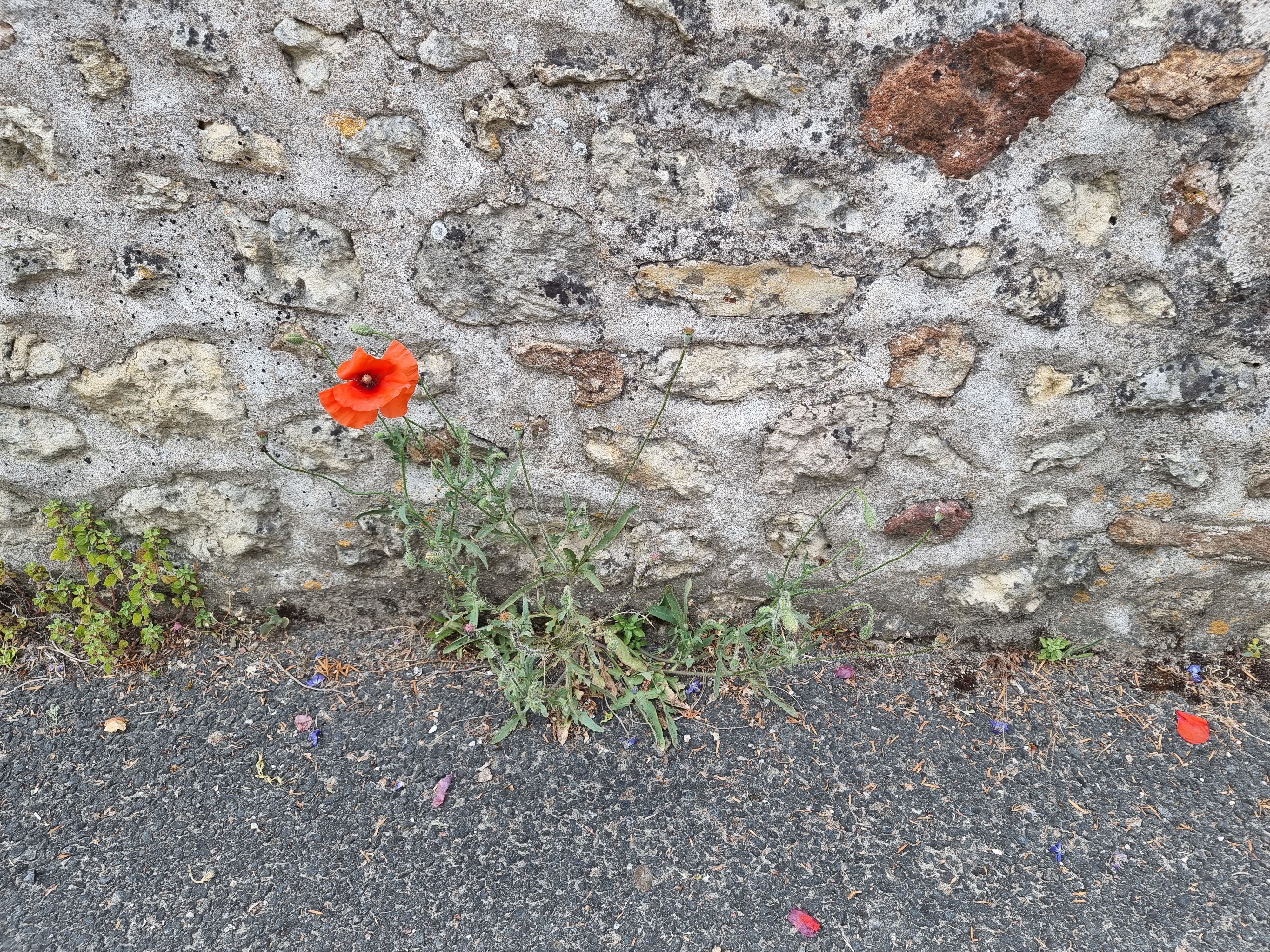 Photo n° 1 de l'avis de Ines.a fait le 22/06/2023 à 17:36