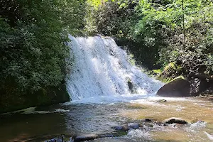 Yellow Creek Falls image