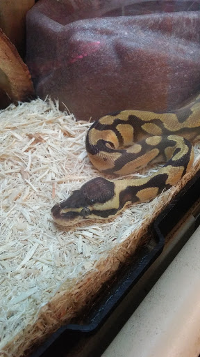 Pet Supply Store «PetSmart», reviews and photos, 2641 Lawndale Dr, Greensboro, NC 27408, USA