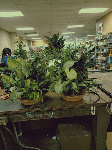 Florist «McShan Florist, Inc.», reviews and photos, 10311 Garland Rd, Dallas, TX 75218, USA