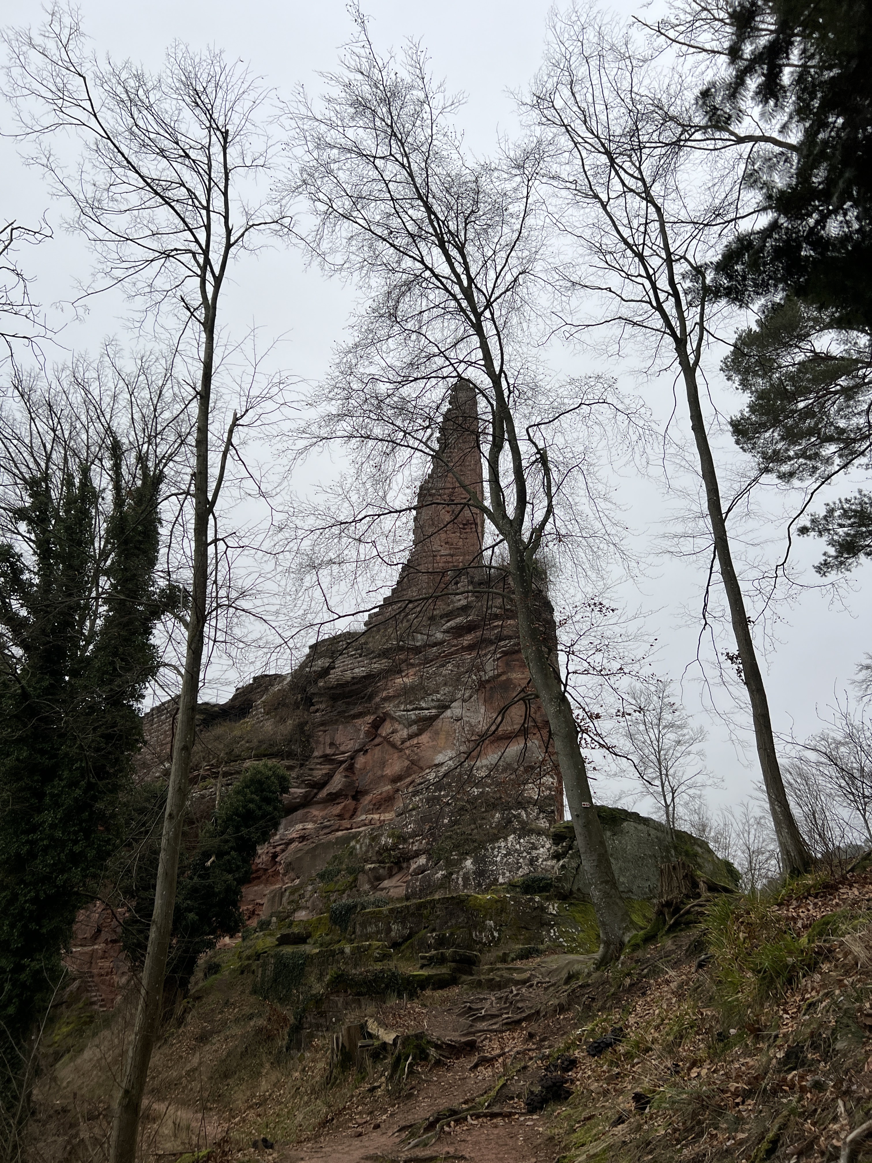 Photo n° 1 de l'avis de Nik. fait le 23/12/2023 à 12:25