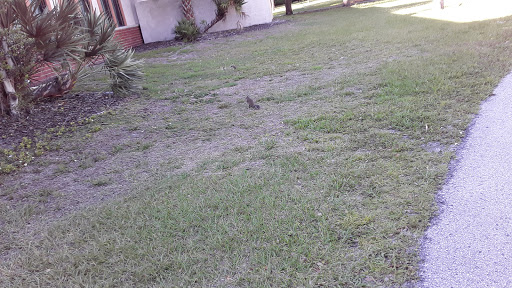 Park «MacFarlane Park», reviews and photos, 1700 N Macdill Ave, Tampa, FL 33607, USA